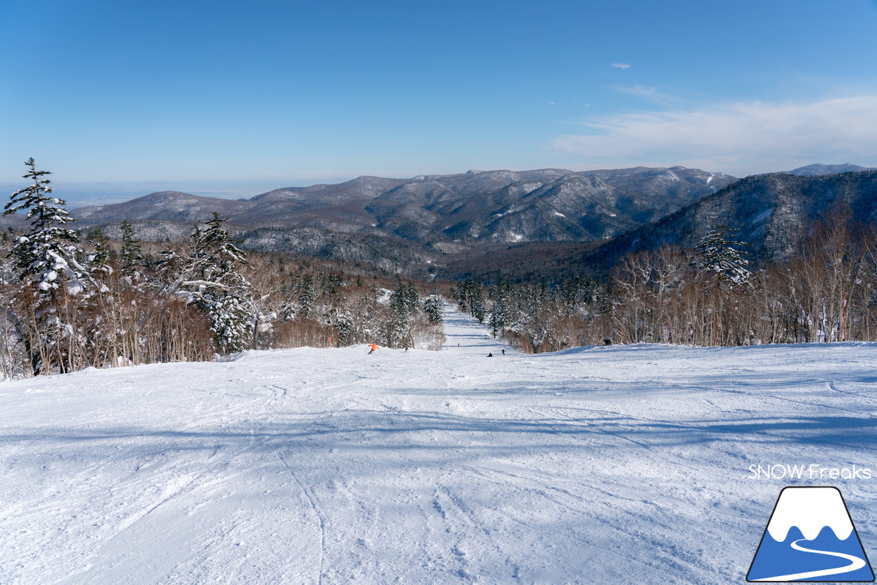 札幌国際スキー場｜北海道最高峰・旭岳も見えた！これ以上はなかなか無い、澄み渡る青空に恵まれた１月最後の日曜日。